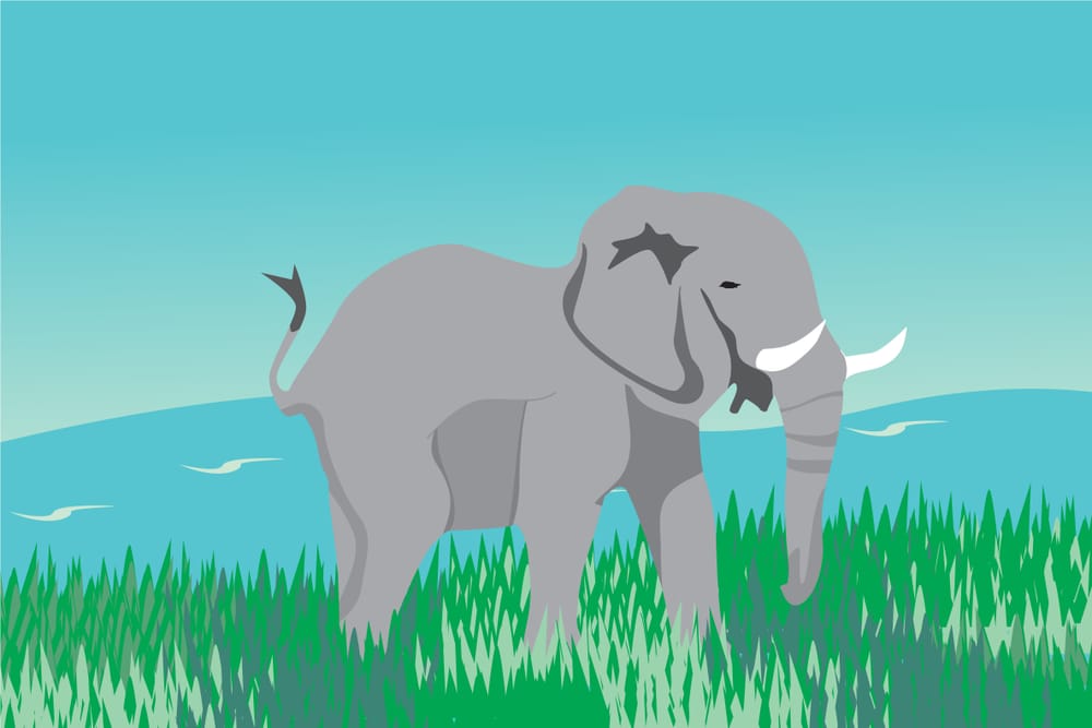 Pricing - The Elephant in the Room